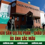 Sức Chứa Sân Celtic Park – Chảo Lửa Đầy Ảo Ảnh Sắc Màu