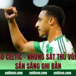 Tiền Đạo Celtic – Những Sát Thủ Vòng Cấm Sẵn Sàng Ghi Bàn