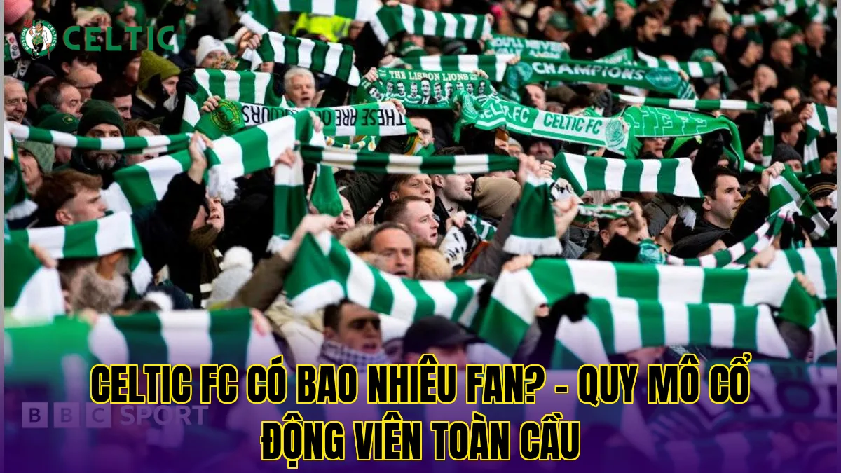 Celtic FC Có Bao Nhiêu Fan? - Quy Mô Cổ Động Viên Toàn Cầu