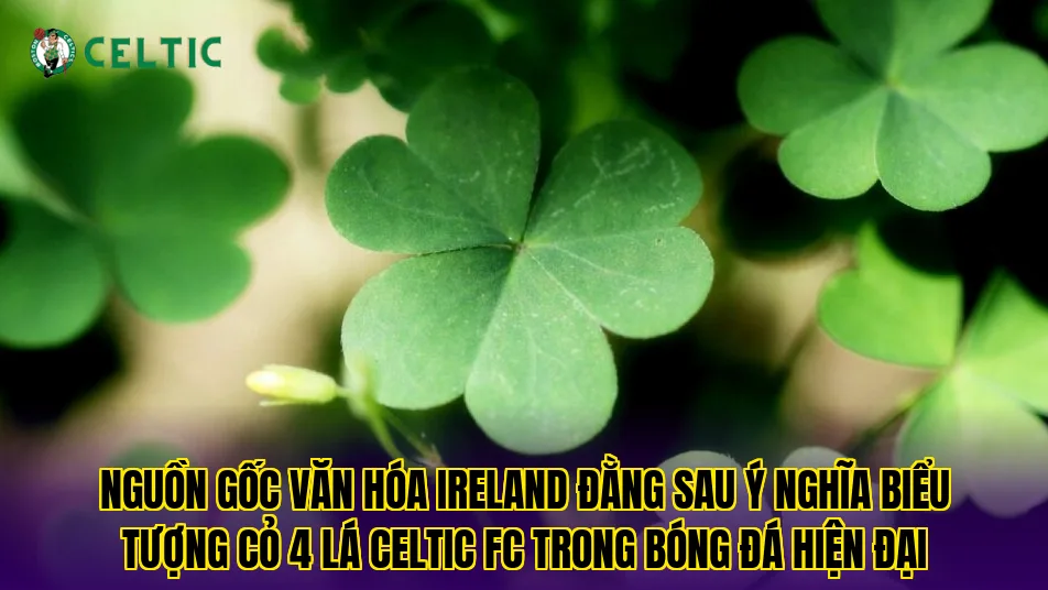 Nguồn gốc văn hóa Ireland đằng sau ý nghĩa biểu tượng cỏ 4 lá Celtic FC trong bóng đá hiện đại