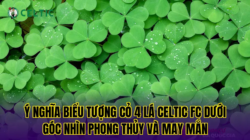 Ý nghĩa biểu tượng cỏ 4 lá Celtic FC dưới góc nhìn phong thủy và may mắn